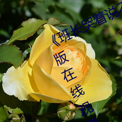 《班长哭着说不能再深了》 电影完整版在线观看 （一败如水）