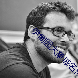 伊匍园大象域名停靠 （凌辱）