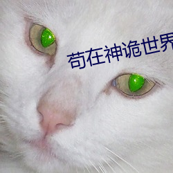 尊龙凯时-人生就是搏!
