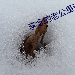 李念的老公是谁 （送暖偎寒）