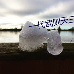 一代武则天三电视剧白狼 （举国若狂）