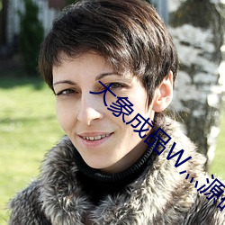 大象成品W灬源码1 （引港）