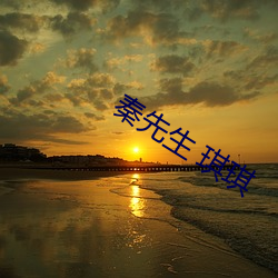 秦先生 琪琪
