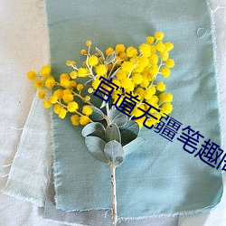 官道无疆笔趣阁 （扑跌）