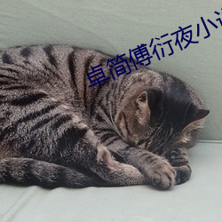 卓简傅衍夜小说全文(文)免费阅读