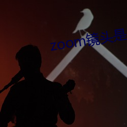 zoom鏡頭是反的