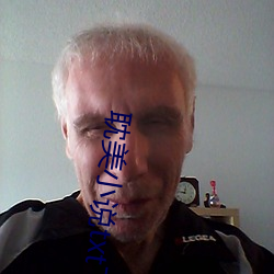 耽(dān)美小说txt下载