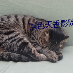 国色天香影院免费观看