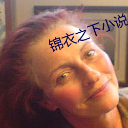 锦衣(衣)之下(下)小(小)说