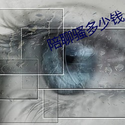 陪(陪)聊骚多少(少)钱(錢)