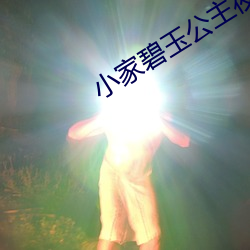 小家碧玉公主夜未眠