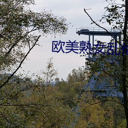 欧美熟女乱(luàn)伦