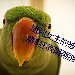 清纯女主的被肏日常(纯肉NP) 腿交磨B狂戳阴蒂掰B主动求C