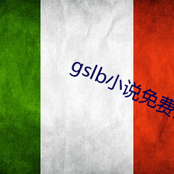 gslb小说免费阅读