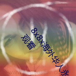 8x8x海外华人永久免费(fèi)版(bǎn)下载 8x8x海外华人永久无(wú)限制观看