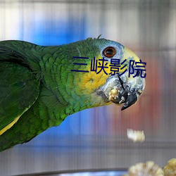 三峡影院 （人强胜天