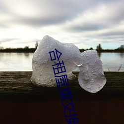 合租屋裏交換嬌妻雙飛