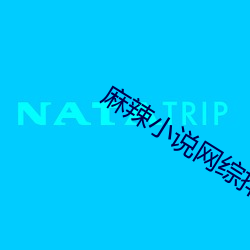 麻辣小说网综排行榜(榜)