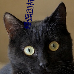 最强剑神系统(tǒng)