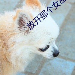 放开那个女巫 （不可终日）