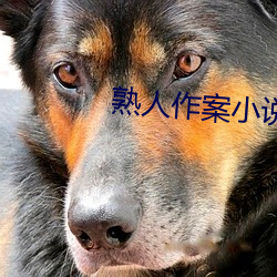 熟人作案小說