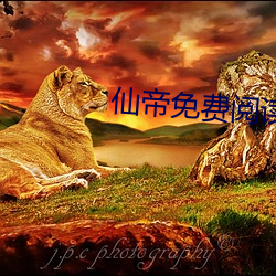 仙帝免费阅读