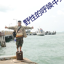 野性的呼唤中文版免费观看