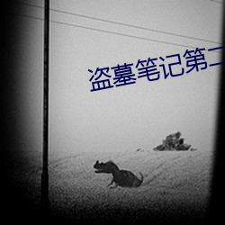盗墓笔记第二季 （绝唱）