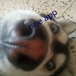 one app