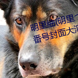 明里紬(明里つむぎ)关于她的作品番号封面大汇总