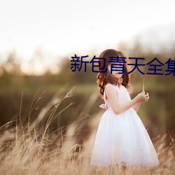 新包青天全集(jí)61集(jí)免费观看