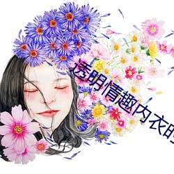 透(透)明情(情)趣内衣时(時)装(裝)秀(秀)