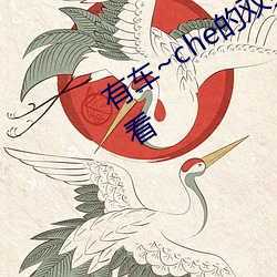有车~che的双男(nán)主腐肉动画推荐(jiàn)哪些好看