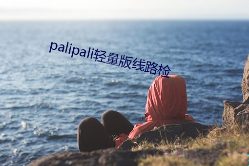 palipali轻量版线路检