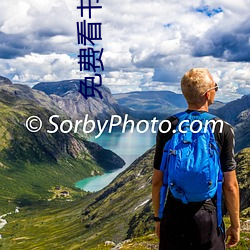 免费看书网(網)站