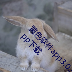 黃色軟件app3.0.3免費vivo版大全裝新版v2.1.2 app下載