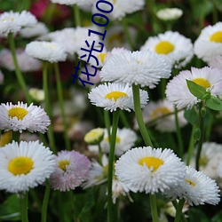 花光100亿才能继承遗产短剧