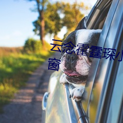 云念霍霆琛(chēn)小说(shuō)全文免费阅读无弹窗