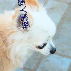 被黑人猛躁10次高潮视频