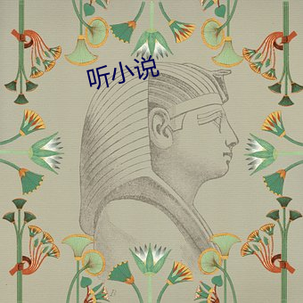 听(聽)小说