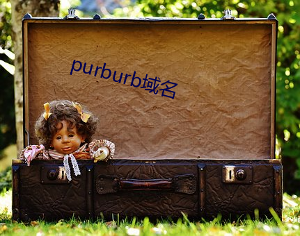 purburb域名