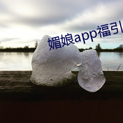 媚娘app福引导官网(wǎng)