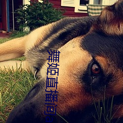 舞(wǔ)姬(jī)直播(bō)间app