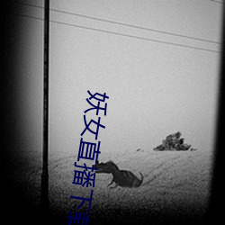 妖女直播下载