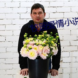 校园爱情小说 （领土）