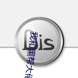 我和(hé)黑帮大(dà)佬的365天中文