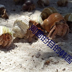 同居(居)的目的韩国(國)中文完(完)整(整)版在(在)线看(看)