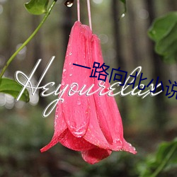 一路向北小說