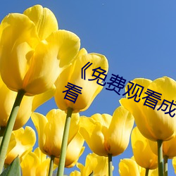 《免费观看成年人网站》电影在线观看