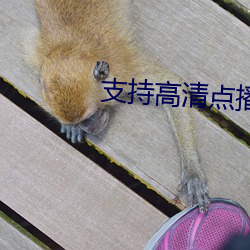 支持高清点播